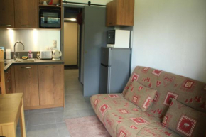 Gentianes GNB66 COSY & MOUNTAIN 3 Pers Chatel